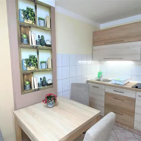 Apartman Siesta Buek - Buekfuerdo Exterior photo