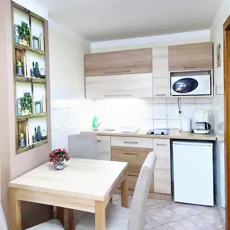 Apartman Siesta Buek - Buekfuerdo Exterior photo